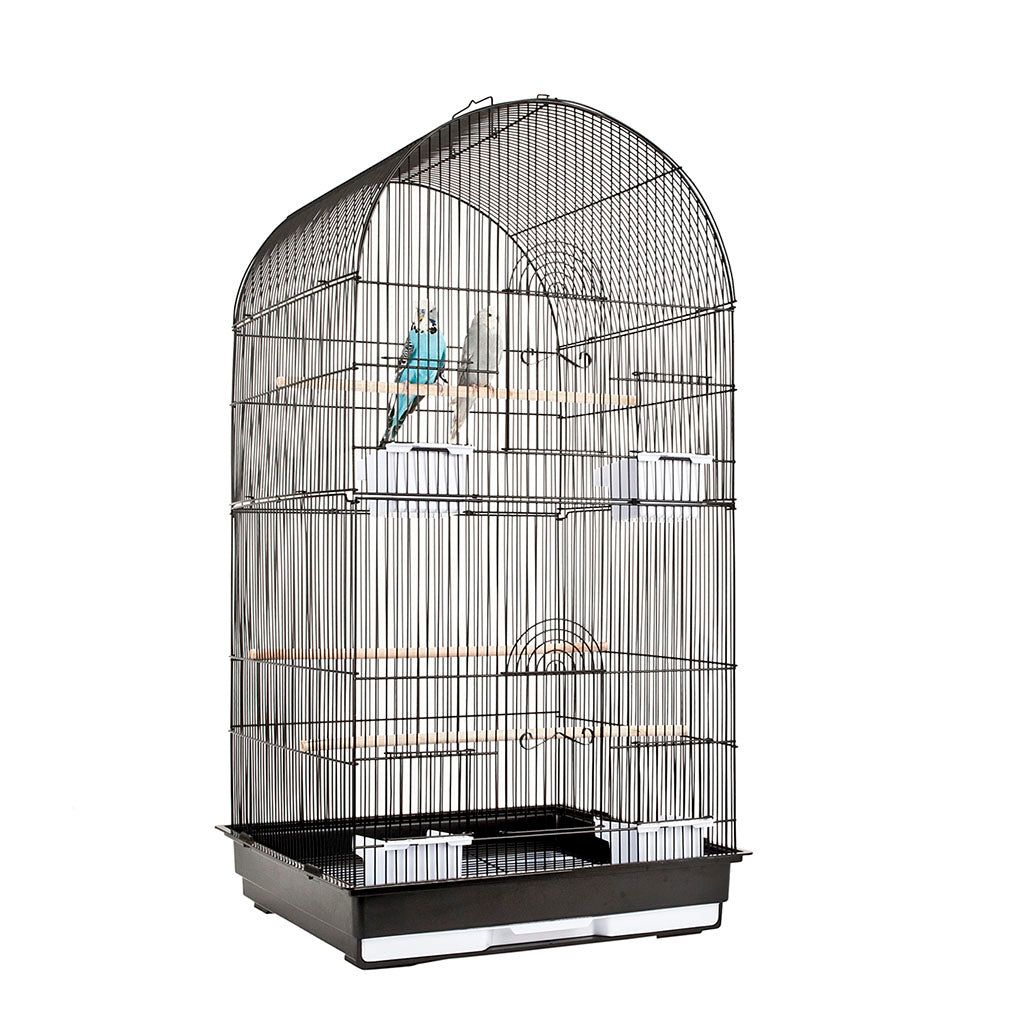 1900 - Caracus Black Cage (Box of 2)