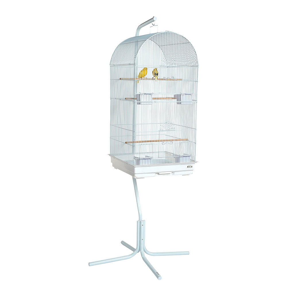 1950 - Caracus White Cage (Box of 2)