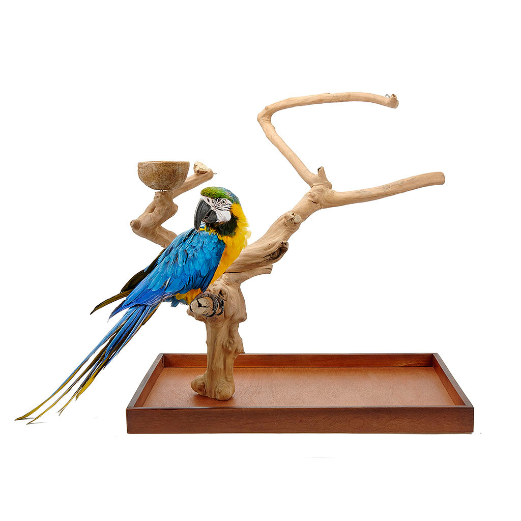 4266 - Java Mini Tree Large