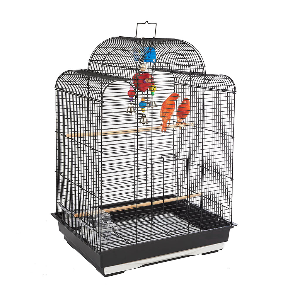 4601 - San Luis Black Cage (Box of 4)