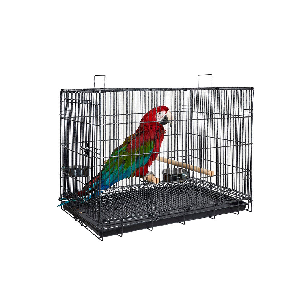Large bird 2025 travel cage