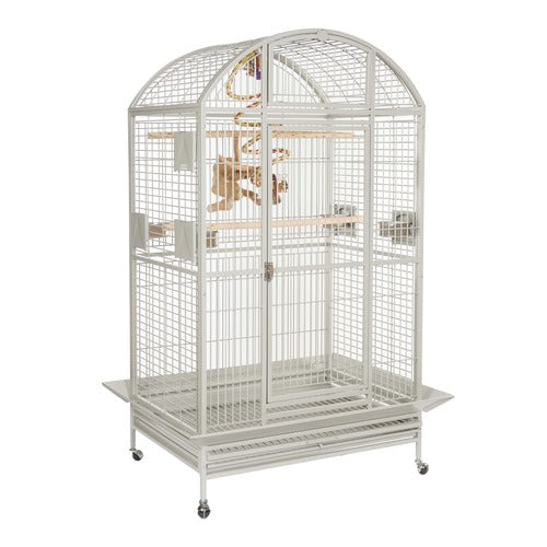 1512 - Rio Ara Cage