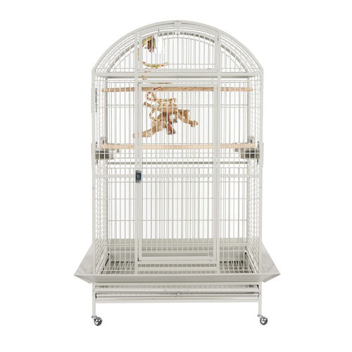 1512 - Rio Ara Cage