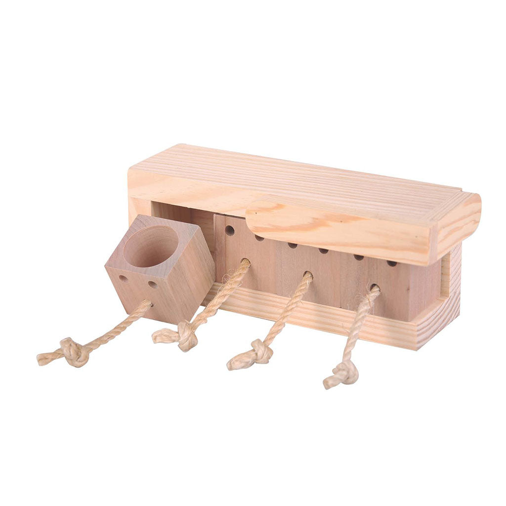 4969 - Activity Box
