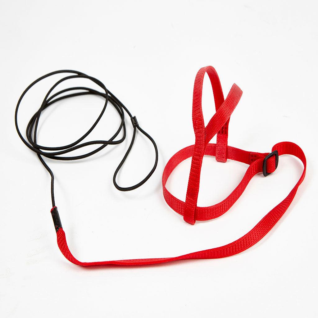 4933R - Avian Adventure Harness Extra Small Red