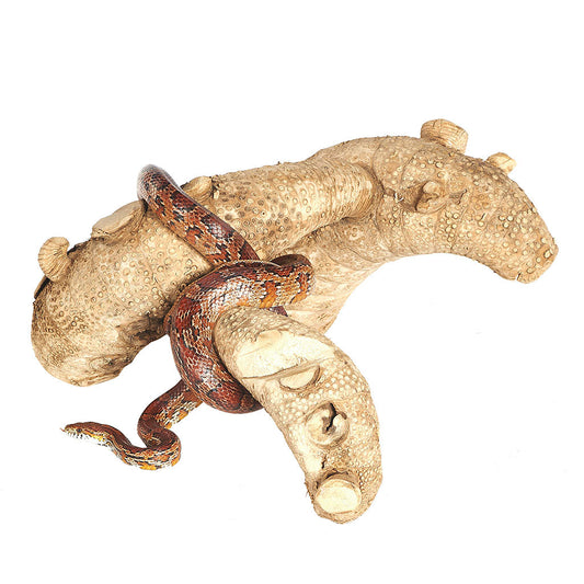 4206 - Spider Root Large