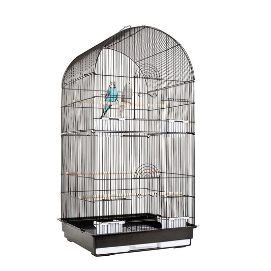 1900 - Caracus Black Cage (Box of 2)