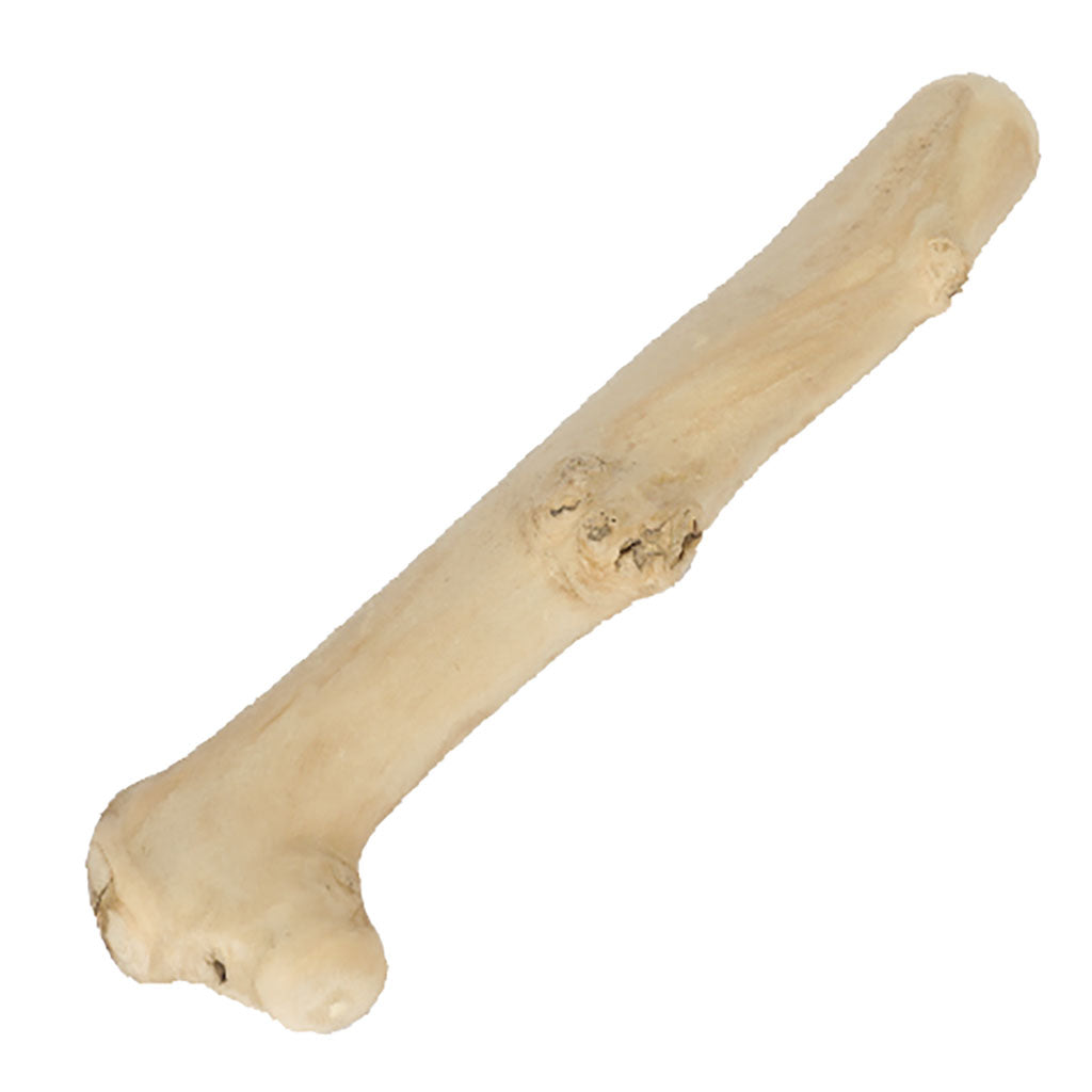 8310 - Grizzly Chomp Medium