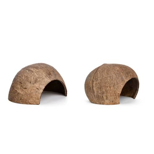 4258 - Java Coco Hide