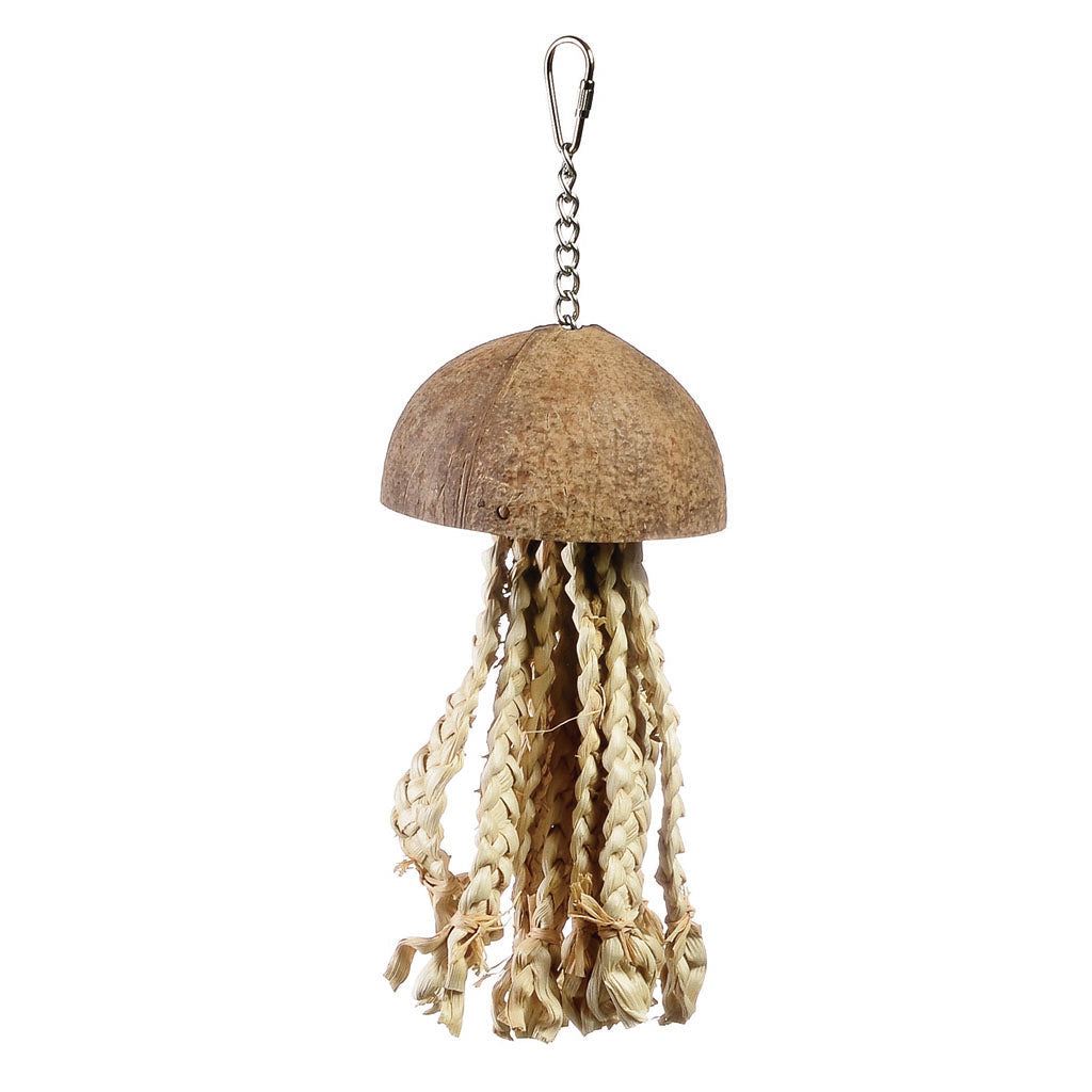 7961 - Java Jelly Fish