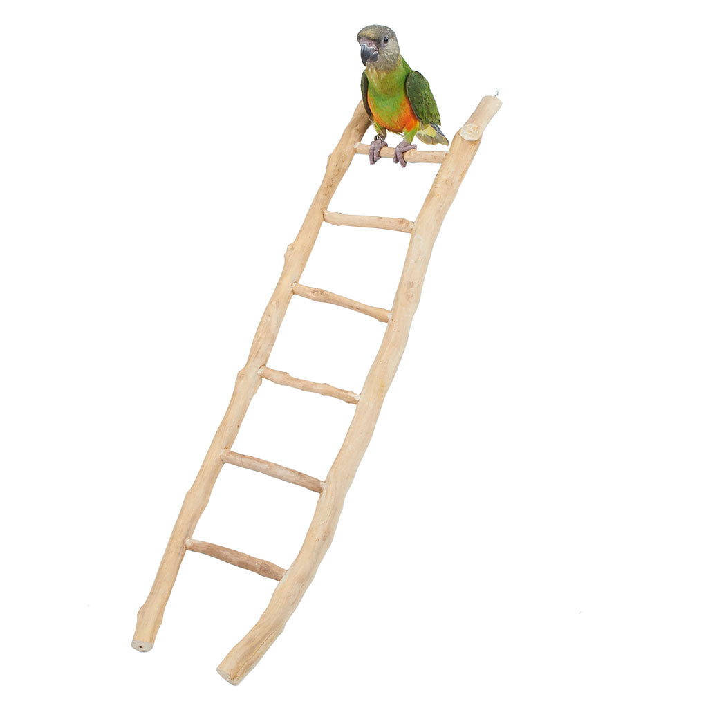 4518 - Java Ladder 60cm