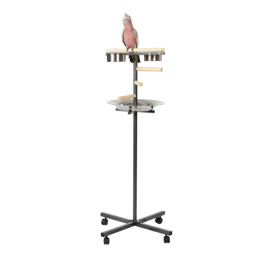 5810 - Little T Stand
