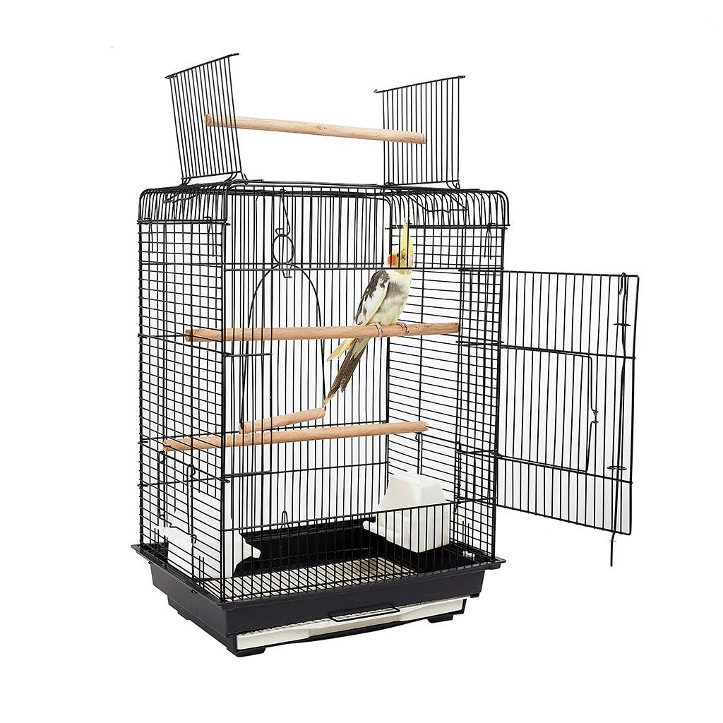 Fun Cages