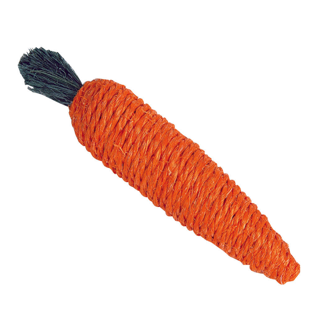 8349 - Playful Carrot
