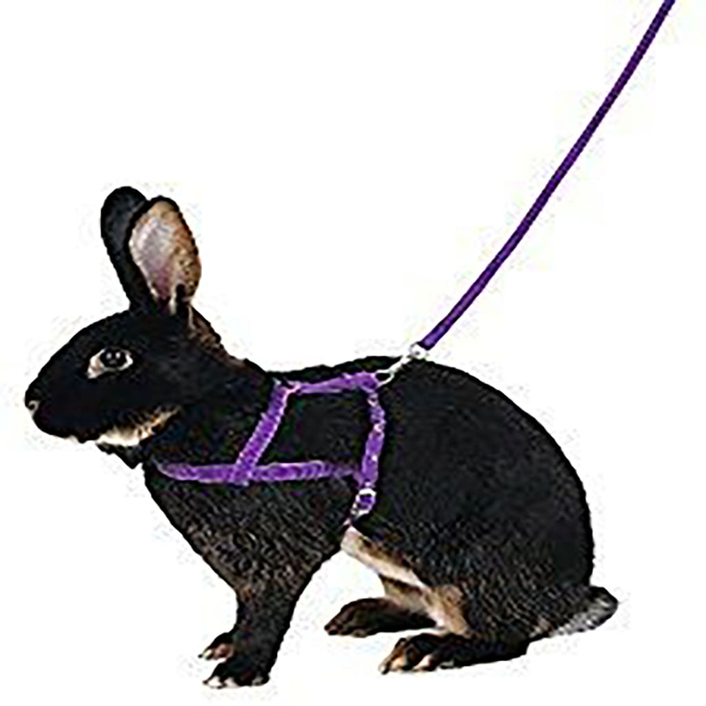 8350 - Rabbit Harness