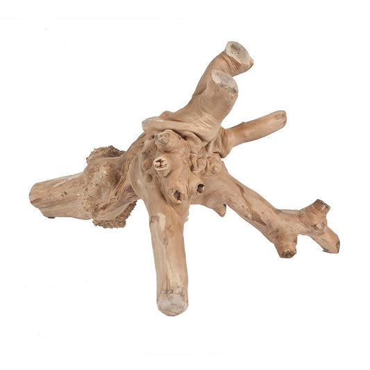 4251 - Java Reptile Branch Medium