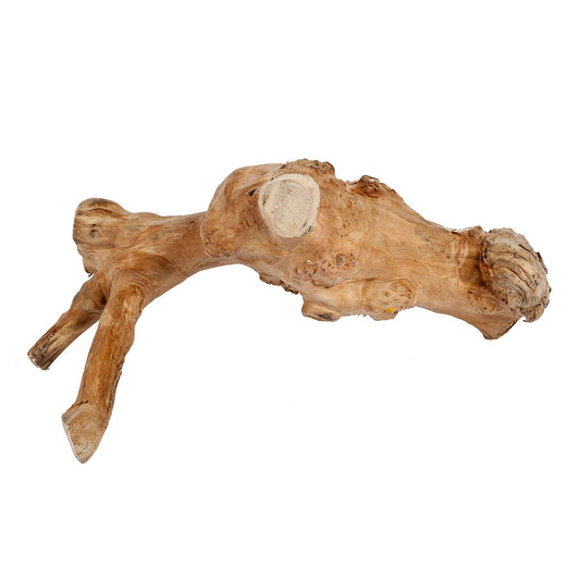 4250 - Java Reptile Branch Small