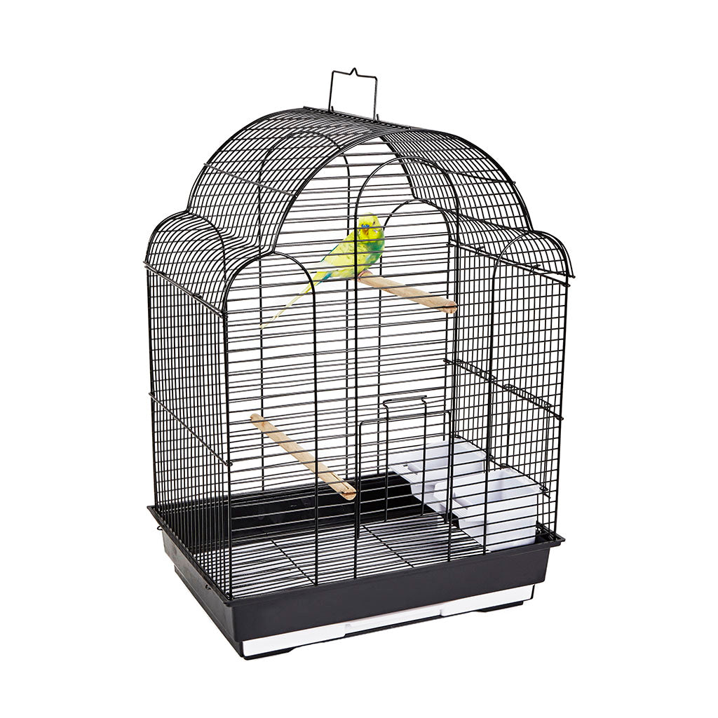 1880 - San Felipe Black Cage  (Box of 6)