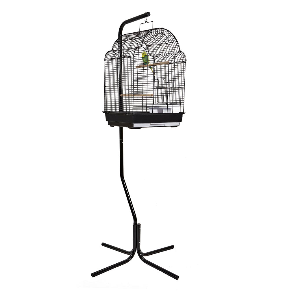 1880 - San Felipe Black Cage  (Box of 6)