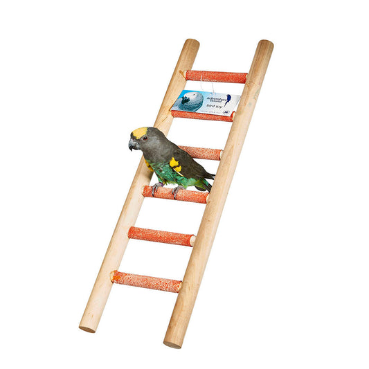3550 - Six Step Cement Ladder